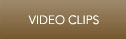 Video Clips